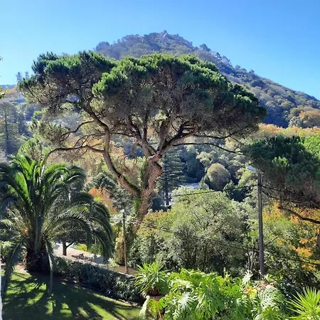 Luxurious Royal Estate In Historic Sintra Paradise Exterior photo