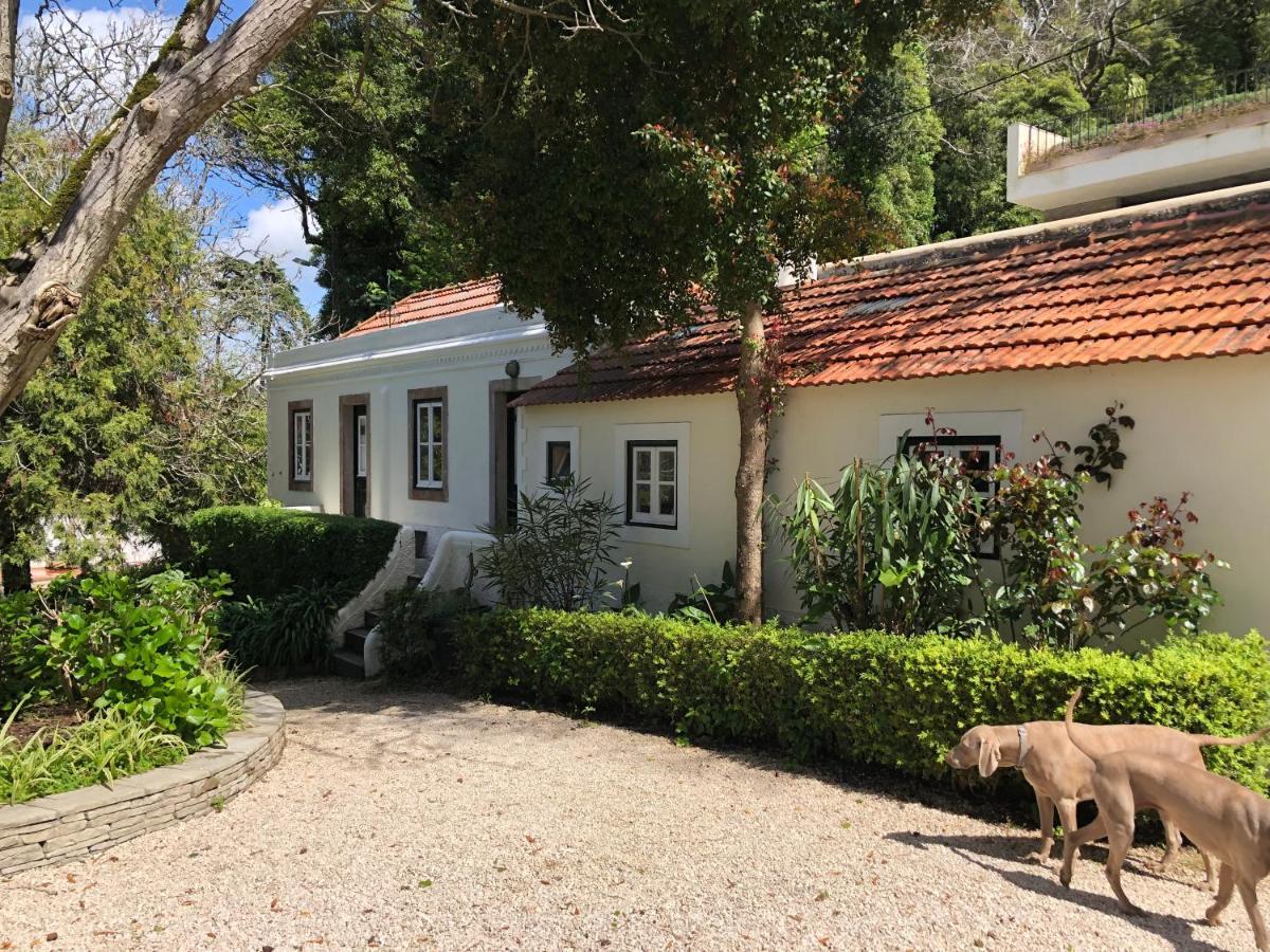 Villa Luxurious Royal Estate In Historic Paradise Sintra